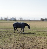 Enlarge photo 181