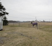 Enlarge photo 185