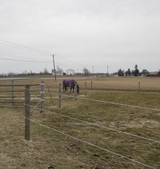 Enlarge photo 186