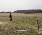Enlarge photo 187