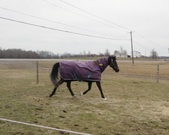 Enlarge photo 188