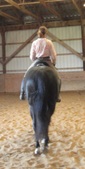 Enlarge photo 175
