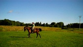 Enlarge photo 159