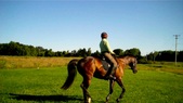 Enlarge photo 158