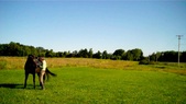 Enlarge photo 160