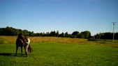 Enlarge photo 161