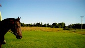 Enlarge photo 157