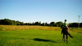 Enlarge photo 156
