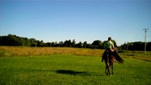 Enlarge photo 155