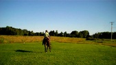 Enlarge photo 153