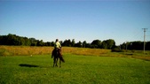 Enlarge photo 154