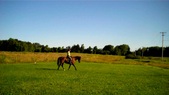 Enlarge photo 152