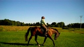 Enlarge photo 150