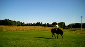 Enlarge photo 149