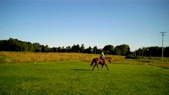 Enlarge photo 146
