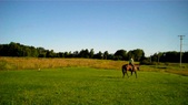 Enlarge photo 147
