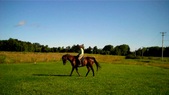 Enlarge photo 145