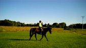 Enlarge photo 144