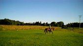 Enlarge photo 143