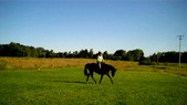 Enlarge photo 142