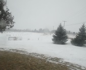 Enlarge photo 214