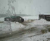 Enlarge photo 215