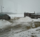 Enlarge photo 216