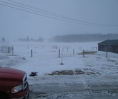 Enlarge photo 220