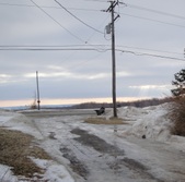 Enlarge photo 208