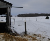 Enlarge photo 213