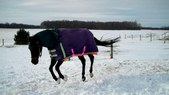 Enlarge photo 67
