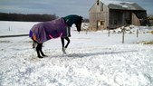 Enlarge photo 56
