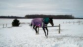 Enlarge photo 58
