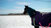 Enlarge photo 55