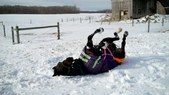 Enlarge photo 59