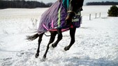 Enlarge photo 57