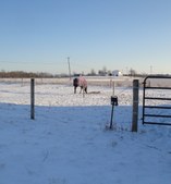Enlarge photo 65