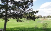 Enlarge photo 173