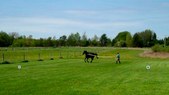 Enlarge photo 47