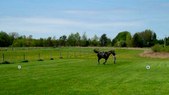 Enlarge photo 45