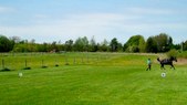 Enlarge photo 44