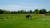 Enlarge photo 41