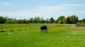 Enlarge photo 40