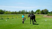 Enlarge photo 38