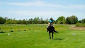 Enlarge photo 34
