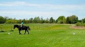 Enlarge photo 30