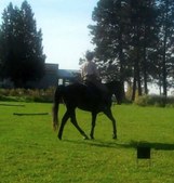 Enlarge photo 105
