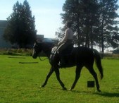 Enlarge photo 106