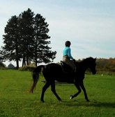Enlarge photo 117