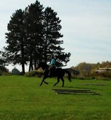 Enlarge photo 116